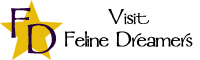 Feline Dreamers